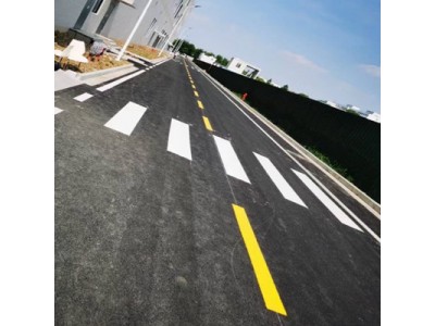 蘇州工業園區道路畫人行道劃線圖2