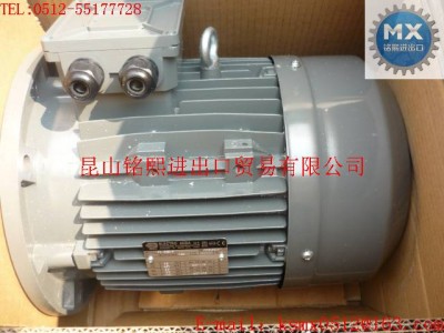 意大利ELECTRO ADDA電機圖1