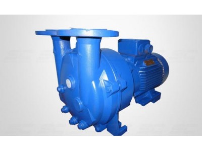 不銹鋼真空泵止回閥的