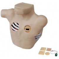 【益聯(lián)醫(yī)學(xué)】胸腔穿刺引流模型